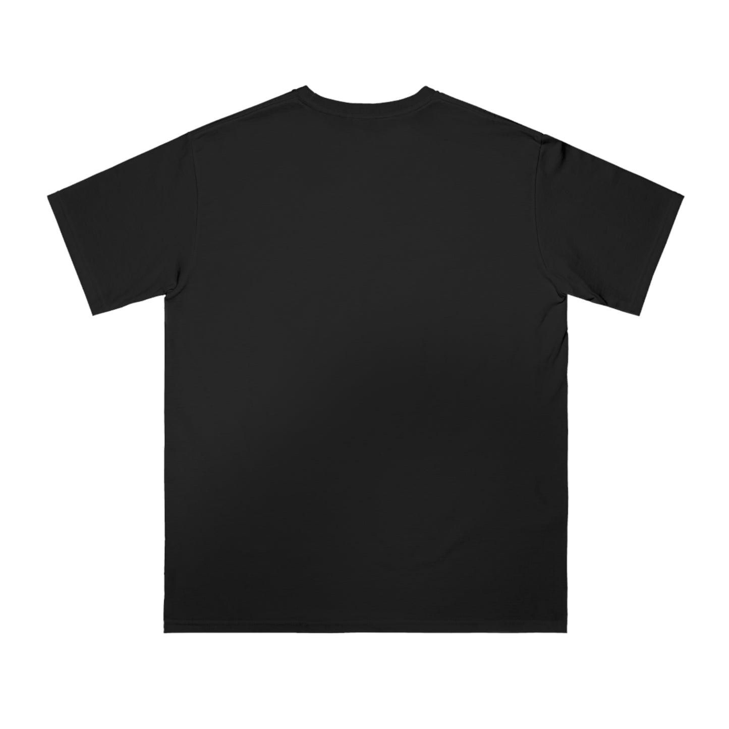 Shop Now Organic Unisex Classic T-Shirt | WomenNtech